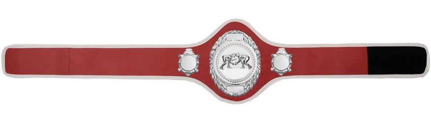 GRAPPLING CHAMPIONSHIP BELT-PRO286/S/GRAPPS-10+ COLOURS